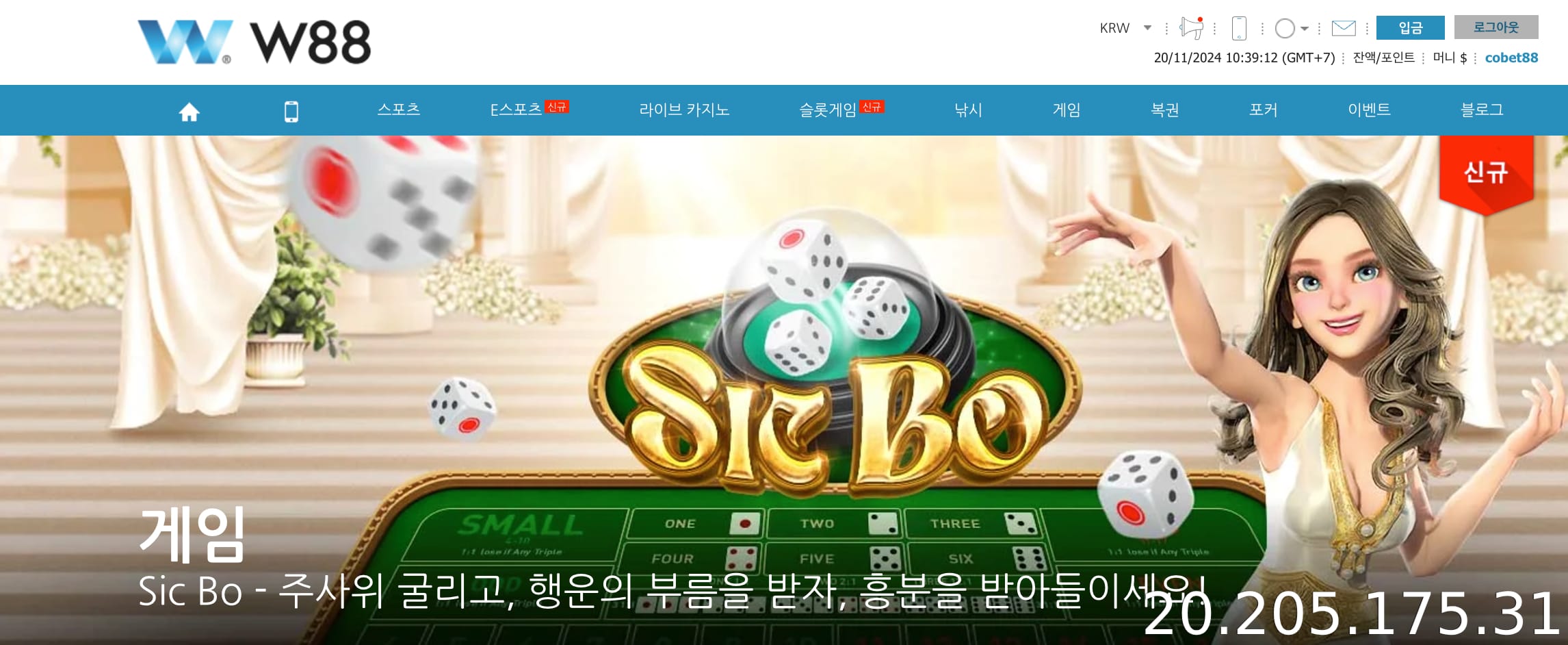 W88 등록은 무료입니다