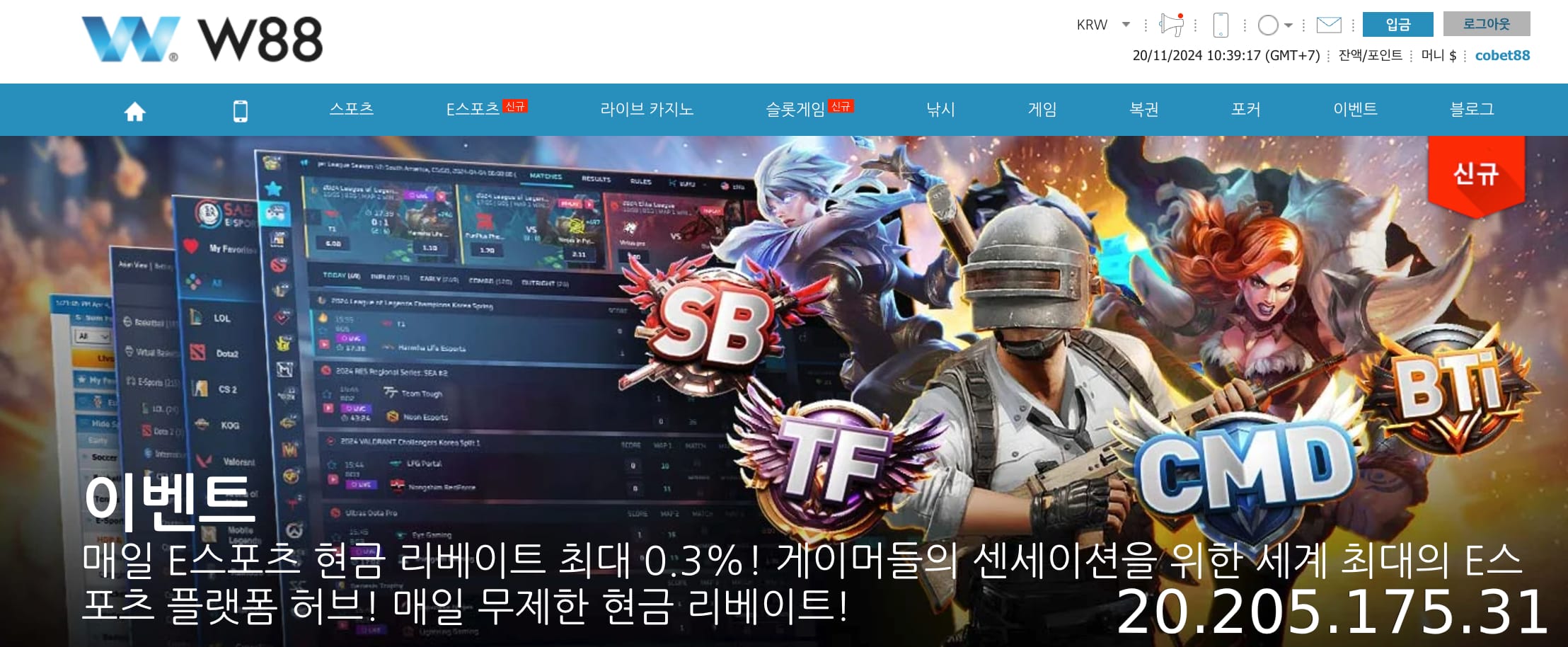 W88 등록에 관한 질문에 답변